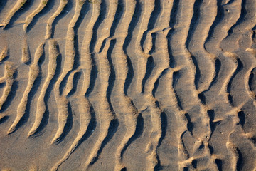 Interesting sand pattern on the beach at the sunset light