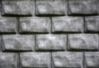 Grey brick wall as a background. Closeup view