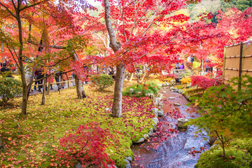 japanese garden in colorful autumn season