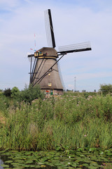 Fototapeta premium Kinderdijk, the Netherlands 
