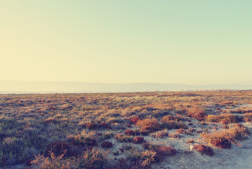 Summer landscape in Andalusia at sunset. Filtered image in faded, washed-out, retro style with lens flare; summer vintage concept.