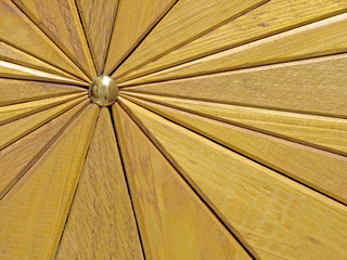 Wooden segments background.