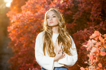 young woman on a background of red and yellow autumn leaves with