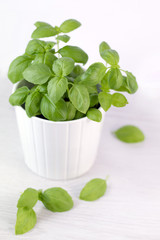 Basil plant and scattered leaves on white wood
