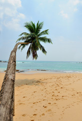Obraz premium Tropical beach