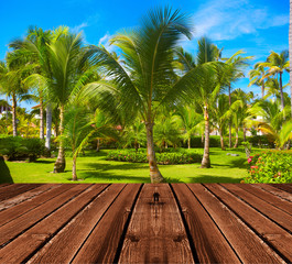 Fototapeta na wymiar Tropical resort.