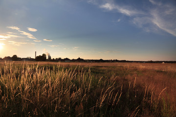 Pola i elektrownia przed zachodem słońca. © Stanisław Błachowicz