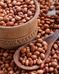 The pinto bean