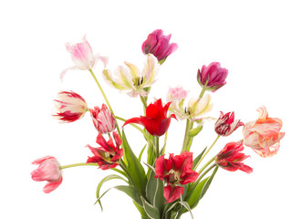 bouquet of tulips of different varieties