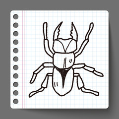 beetle doodle