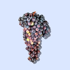 Grape, White, Bunch.