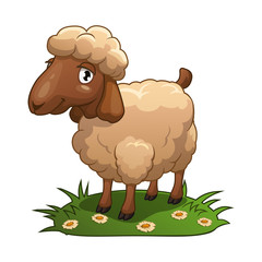 Sheep