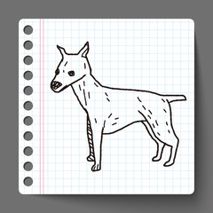 dog doodle