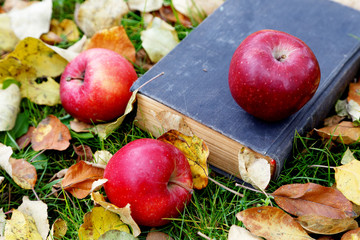 The old book and apples among autumn foliage