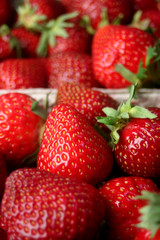 Erdbeeren