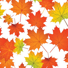Seamless pattern with colorful maple leaves