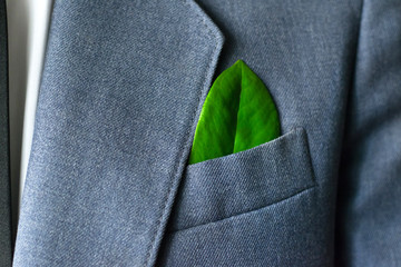 The businessman's photo in a suit with a leaf in a pocket