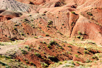 Textured hills at Petrified Forest National Park