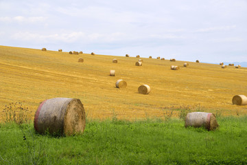 Hay-Bales