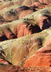 Hills at Petrified Forest National Park