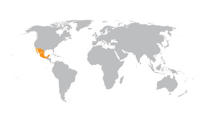 Fototapeta na wymiar grey map of the world with indication of Mexico