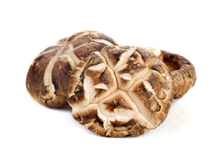 Dry Shiitake Mushroom isolated on white