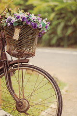 Fototapeta na wymiar The bike basket with roses