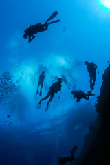 Fototapeta na wymiar ocean world