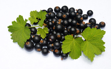 Blackcurrant
