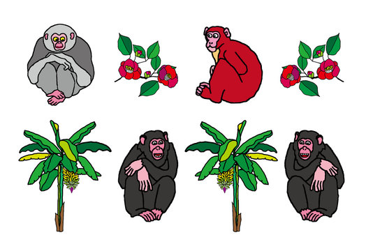 ポップな猿とバナナの木と椿の花のイラスト Stock Illustration Adobe Stock