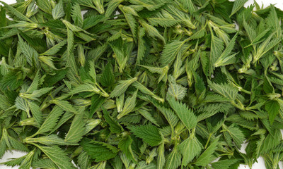Nettle tips