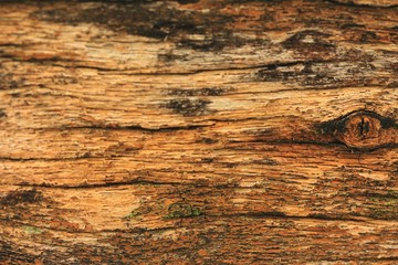 Vintage wood background