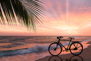 Fototapeta premium Silhouette of retro bicycle on sandy beach
