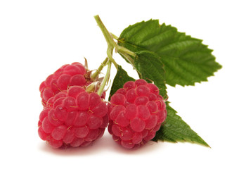 Raspberry isolated on white background