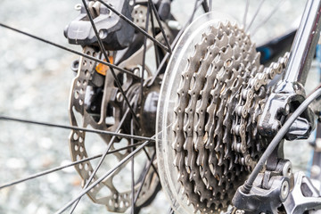 Bicycle gear