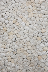 Asian pregnant woman in blue dress in the florest background hol