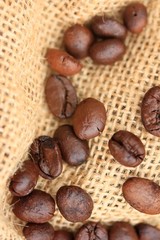 coffee beans