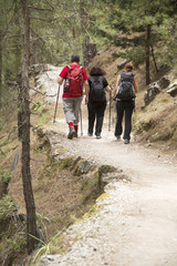 Obraz premium Hikers in Samaria Gorge