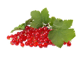 Red currants and green leaves still life isolated 