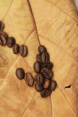 coffee beans
