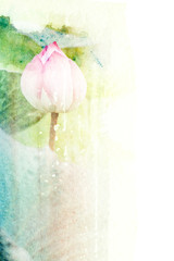 Flower watercolor illustration.