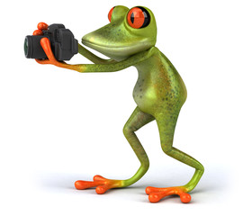 Obraz na płótnie Canvas Fun frog