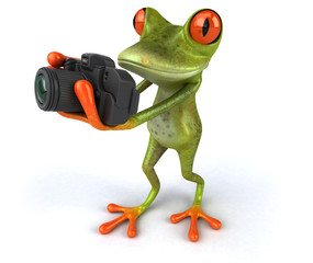 Obraz na płótnie Canvas Fun frog