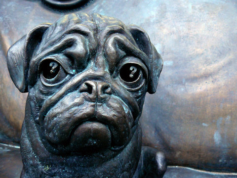 The bronze sculpture of a sad dog with question marks in the eyes