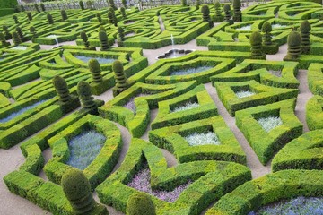 green labyrinth