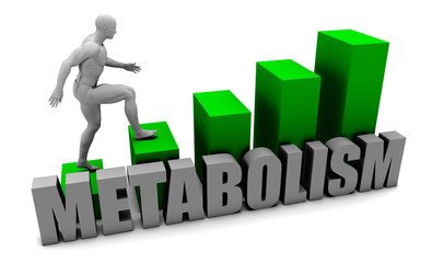 Metabolism