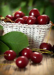 Basket of Cherries