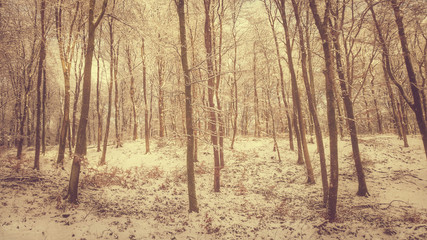 Naklejka premium retrostye Winterlandschaft