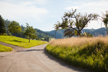 Idyllic summer landscape on skies with clouds and mountains an lonely road in the Seelbach, Schwarzwald, Baden - Württemberg, Germany