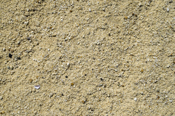 Dry sand beach with pebbles